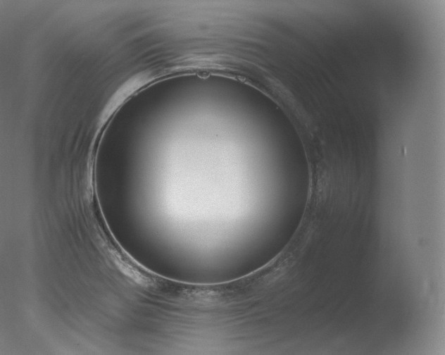 X0000077991370200610271059