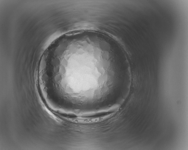 X0000077991383200610271059