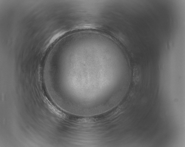 X0000077991404200610271058