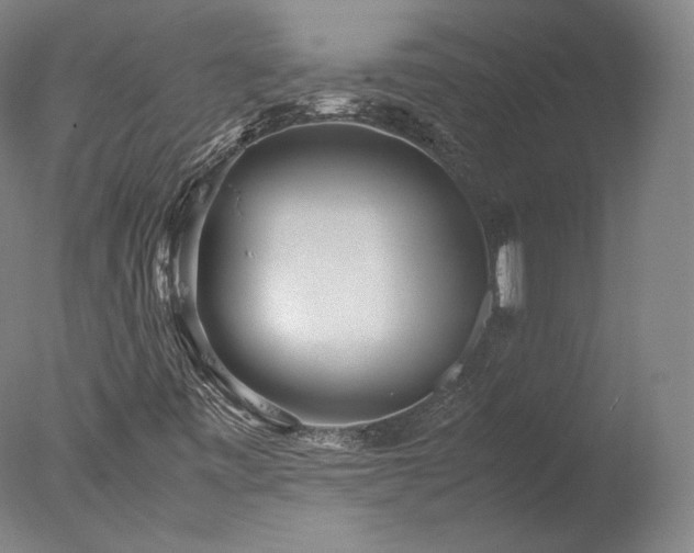 X0000077991443200610271058