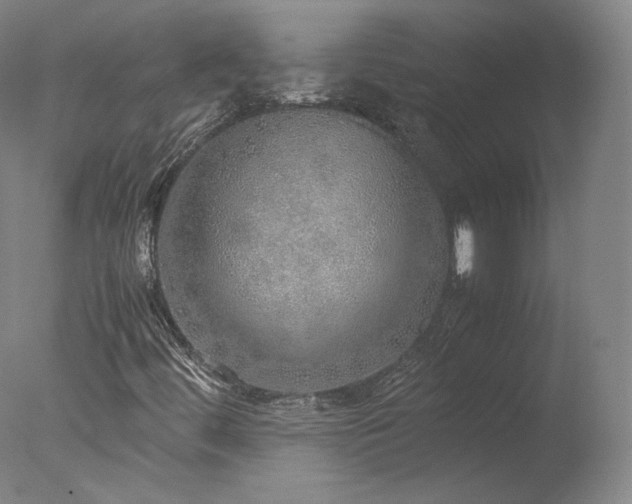 X0000077991444200610271058