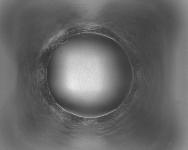 X0000077991447200610271058