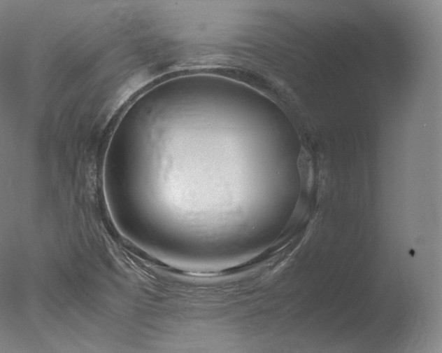 X0000077991457200610271058
