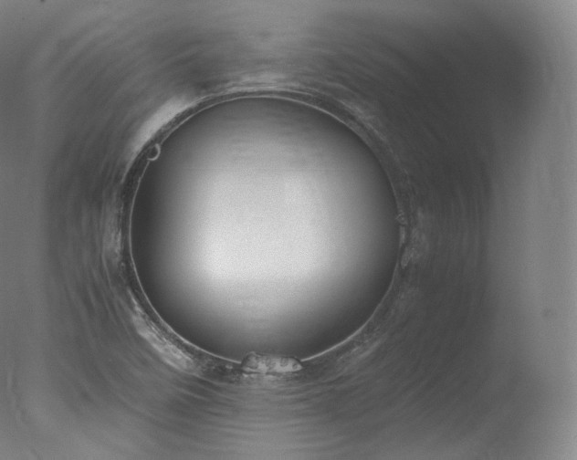 X0000077991458200610271058