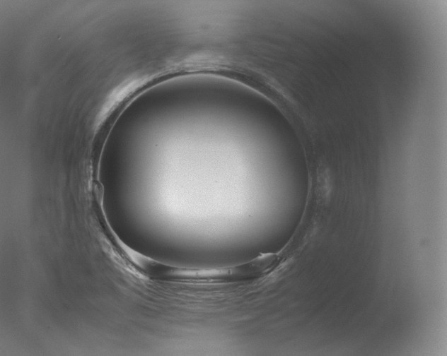 X0000077991461200610271058