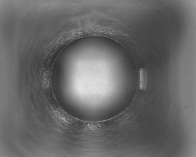 X0000077991491200610271057