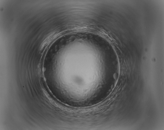X0000077990002200611031432