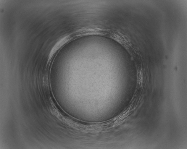 X0000077990004200611031432