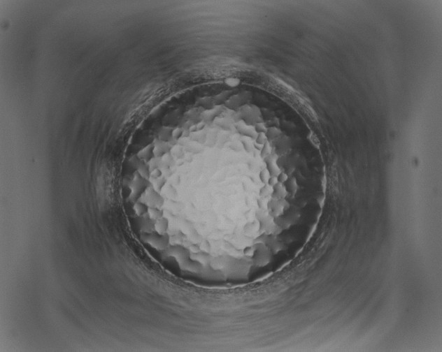 X0000077990018200611031432