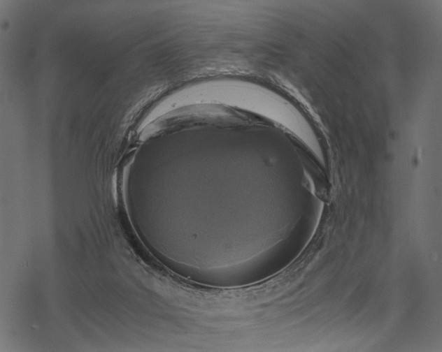 X0000077990019200611031432