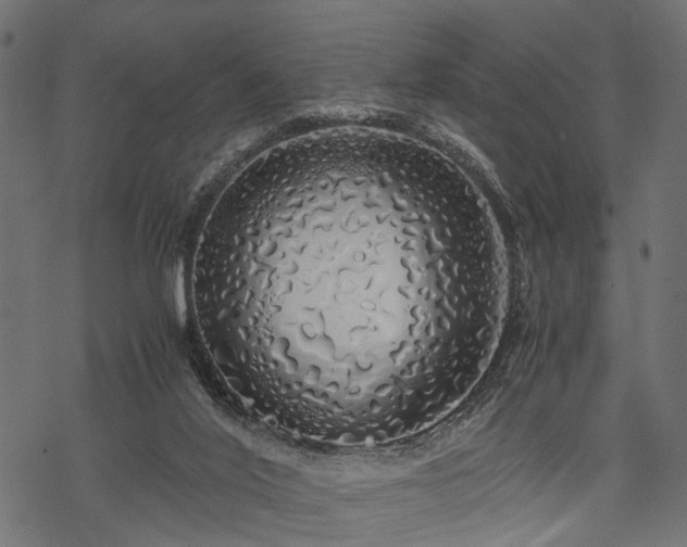 X0000077990020200611031432
