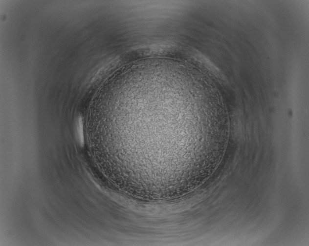 X0000077990022200611031432