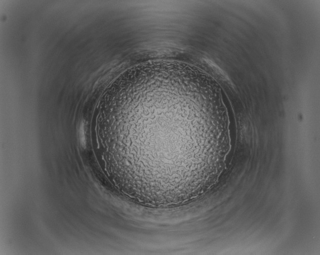 X0000077990026200611031431