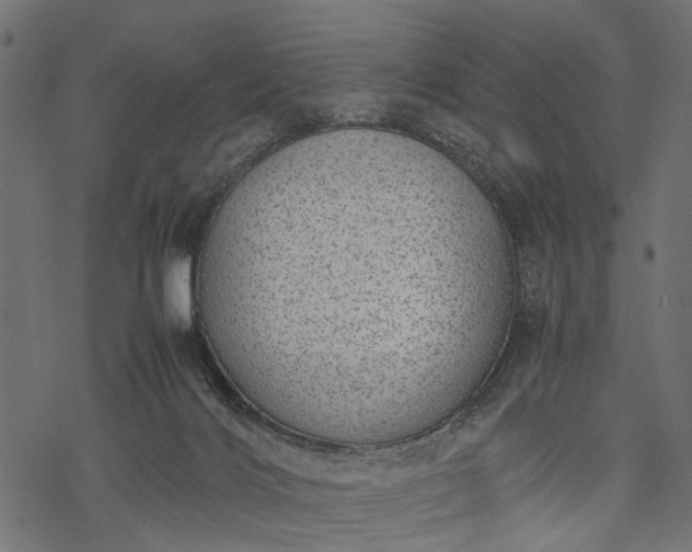 X0000077990028200611031431