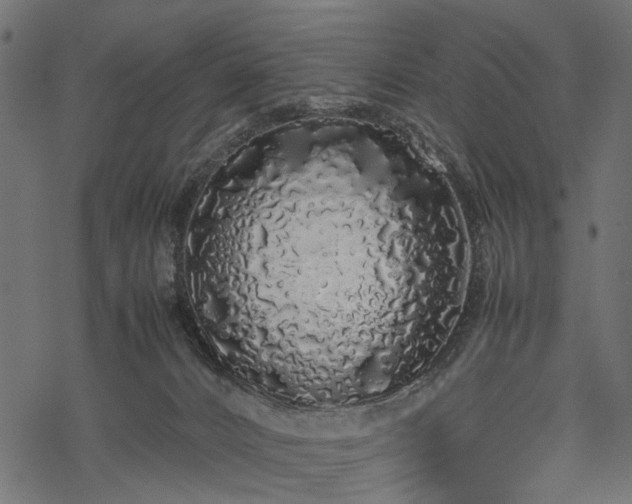 X0000077990032200611031431