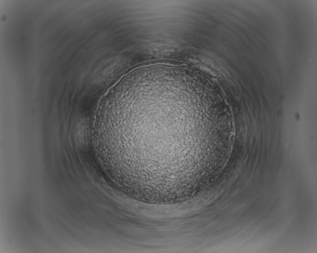 X0000077990034200611031431