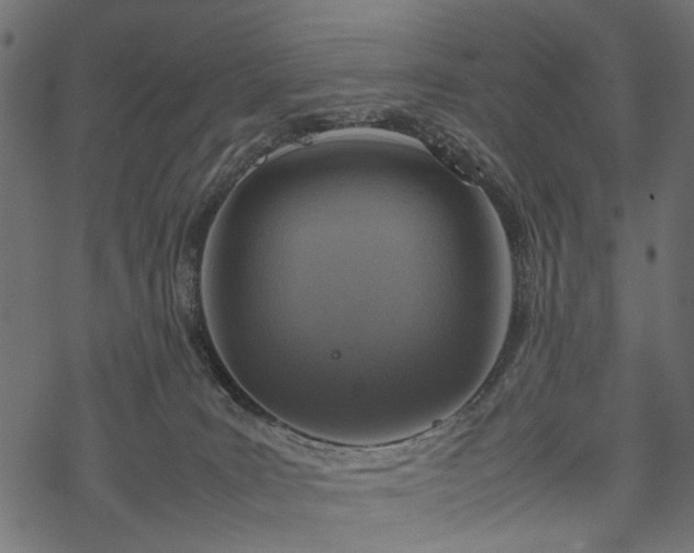 X0000077990035200611031431