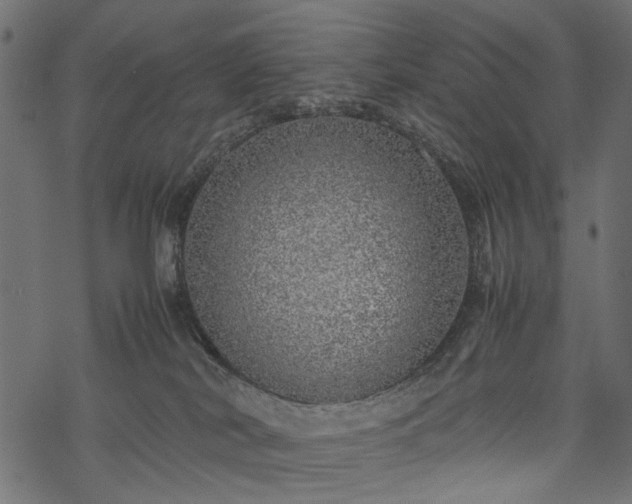 X0000077990038200611031431