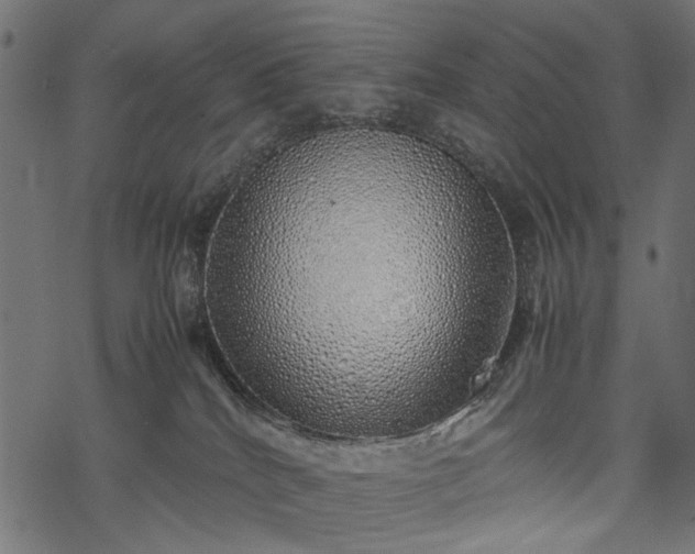 X0000077990040200611031431