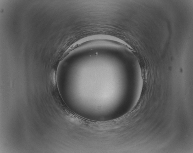 X0000077990041200611031431