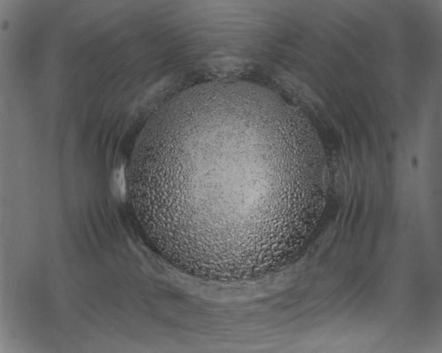 X0000077990042200611031431