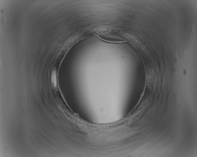 X0000077990046200611031431