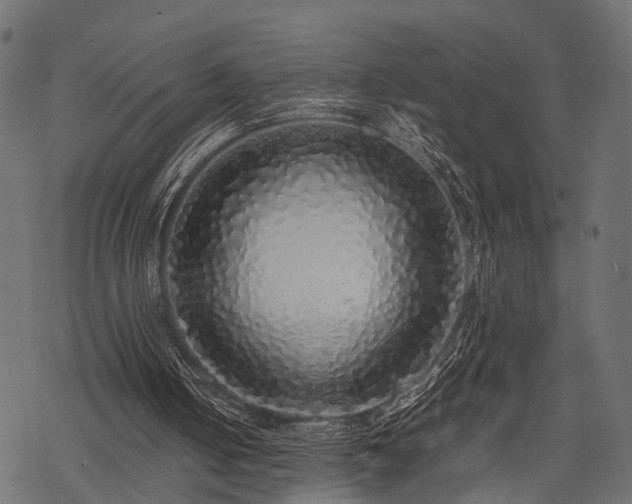 X0000077990050200611031430