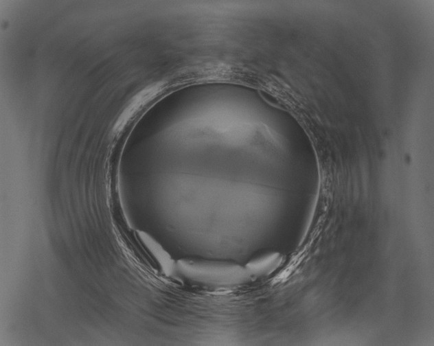 X0000077990054200611031430