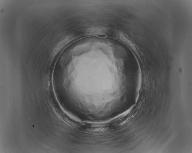 X0000077990059200611031431