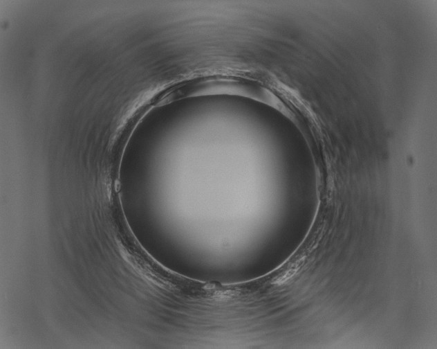 X0000077990060200611031431
