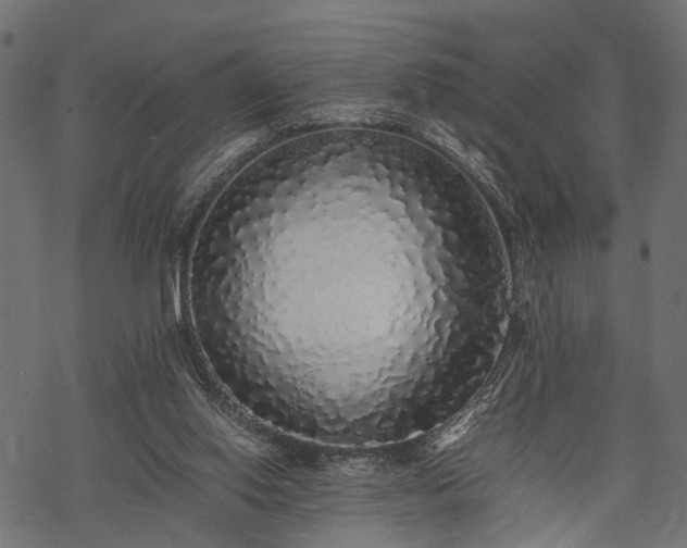 X0000077990062200611031431