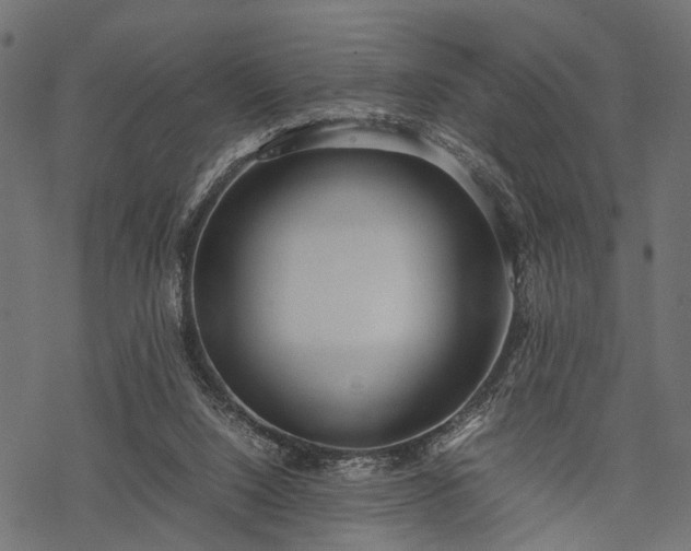 X0000077990064200611031431