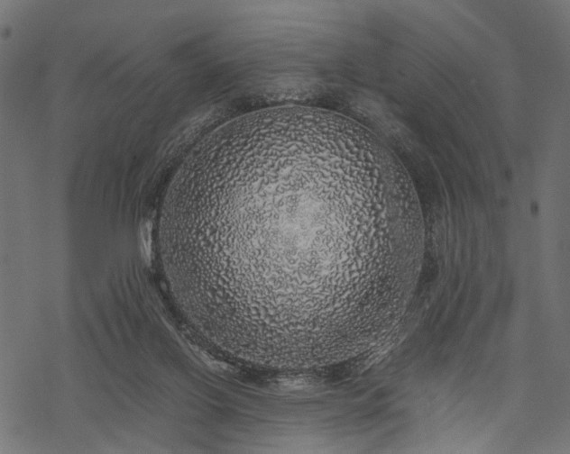 X0000077990070200611031431