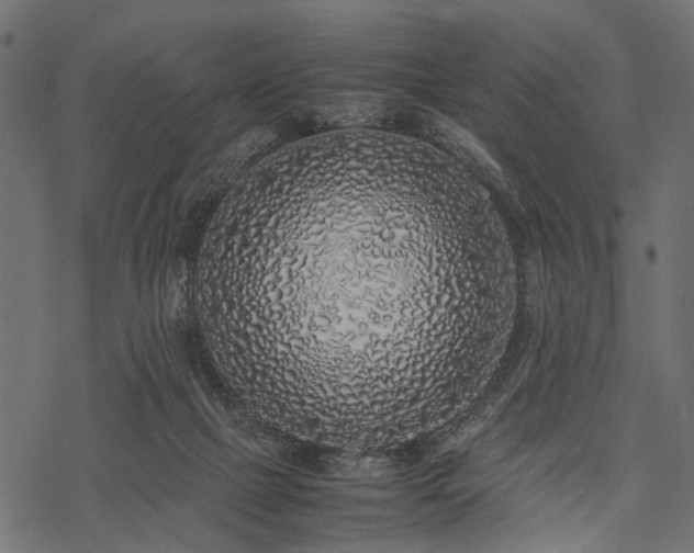 X0000077990073200611031431