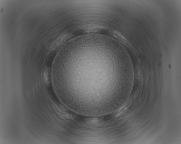 X0000077990074200611031431