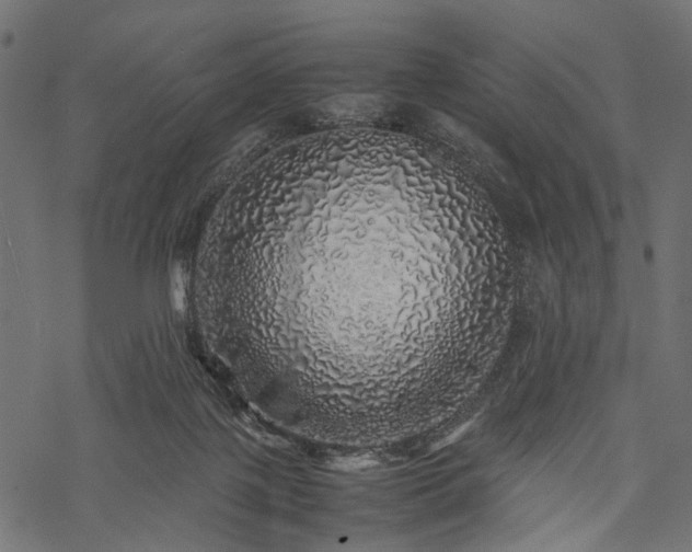 X0000077990075200611031431