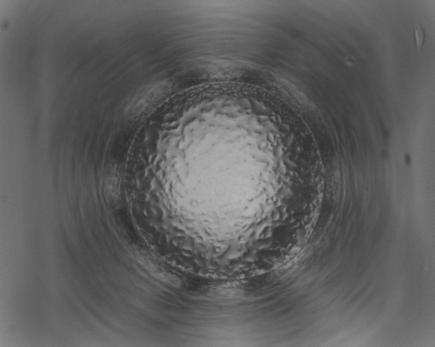 X0000077990078200611031431