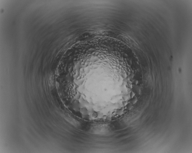 X0000077990081200611031431