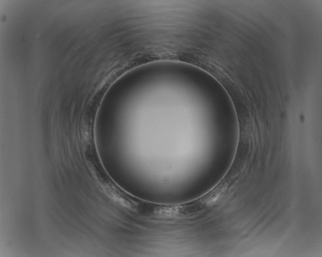 X0000077990084200611031431