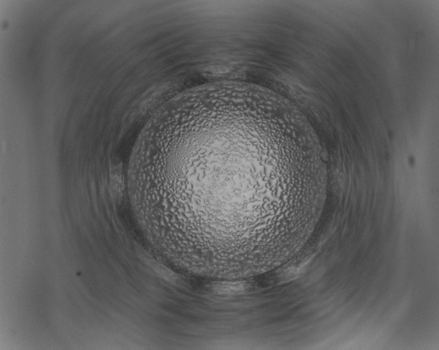 X0000077990085200611031431