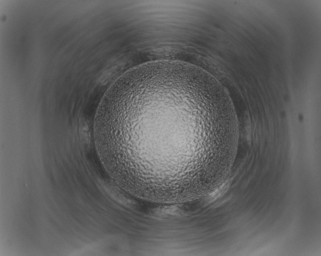 X0000077990086200611031431