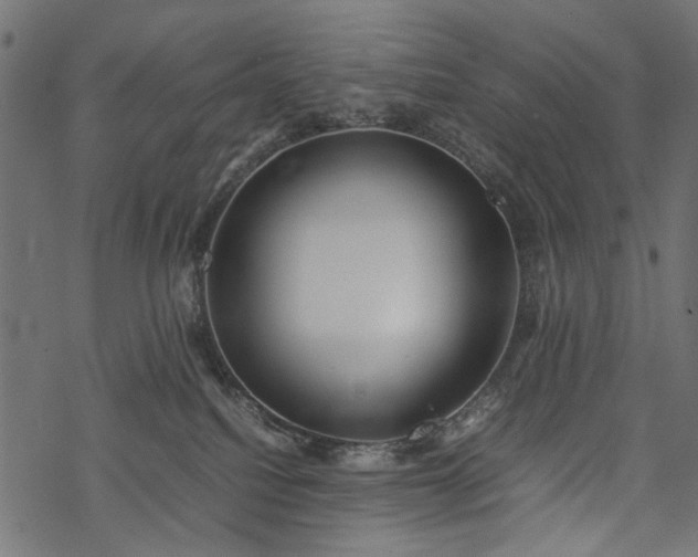 X0000077990088200611031431