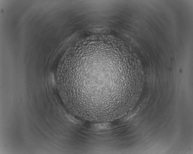 X0000077990089200611031431