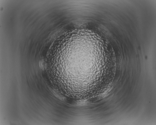 X0000077990090200611031431