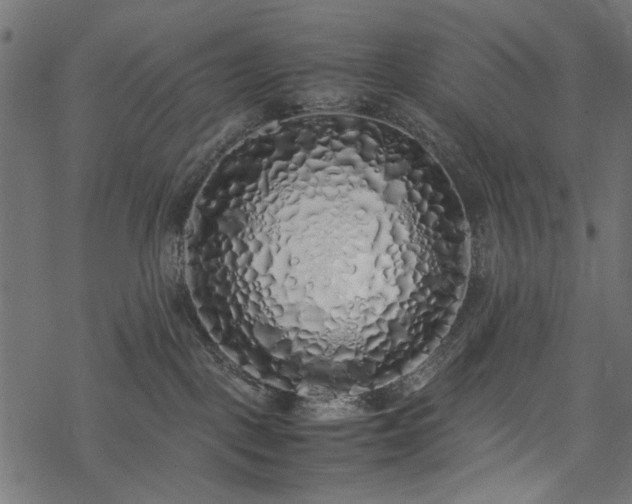 X0000077990093200611031431