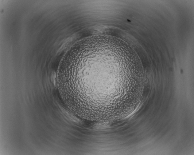 X0000077990094200611031431