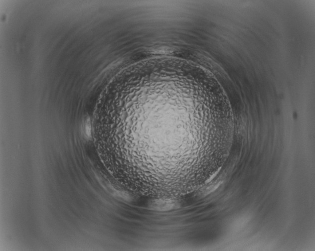 X0000077990095200611031431