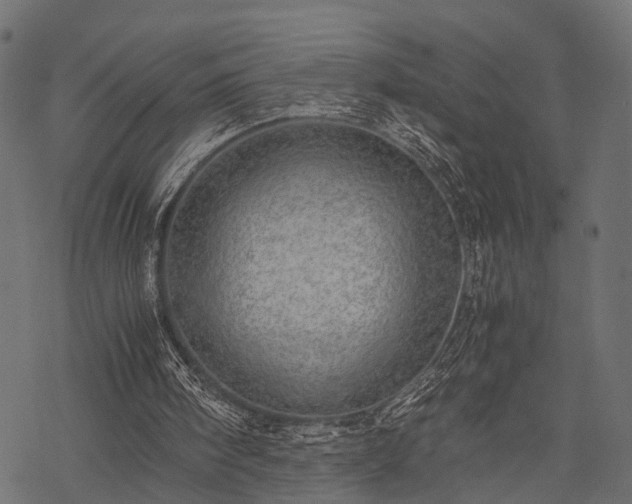 X0000077990098200611031430