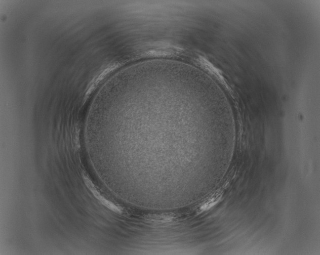 X0000077990106200611031430