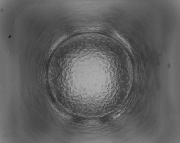 X0000077990107200611031430